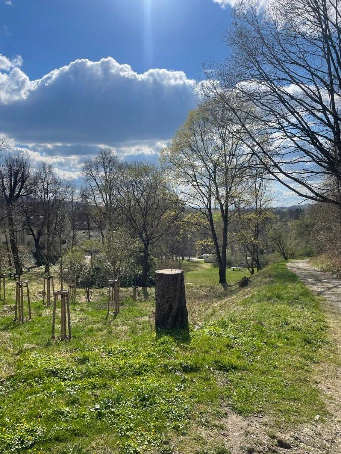 Bergblick Apartment SäChsische Schweiz Sebnitz Zewnętrze zdjęcie