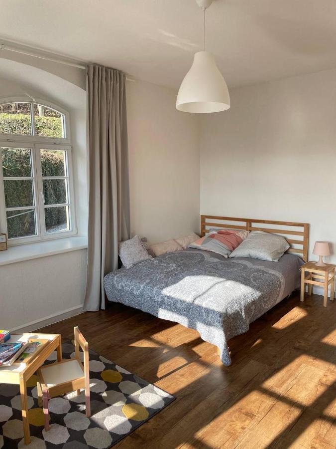 Bergblick Apartment SäChsische Schweiz Sebnitz Zewnętrze zdjęcie