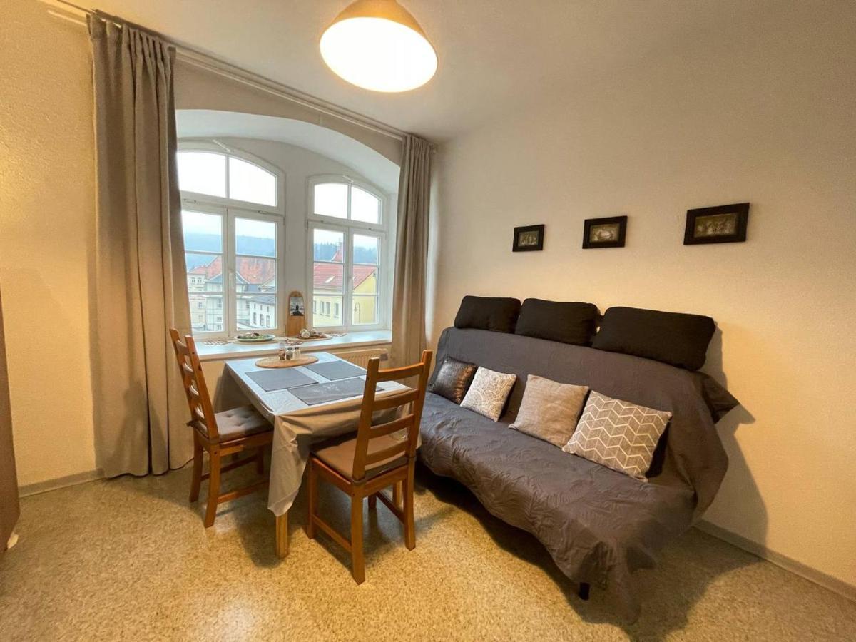 Bergblick Apartment SäChsische Schweiz Sebnitz Zewnętrze zdjęcie