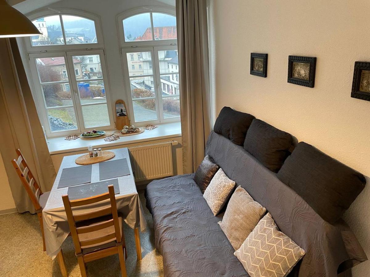 Bergblick Apartment SäChsische Schweiz Sebnitz Zewnętrze zdjęcie